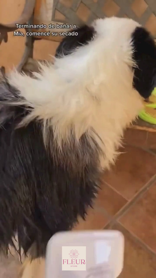 Secador Peine para Mascotas 2 en 1